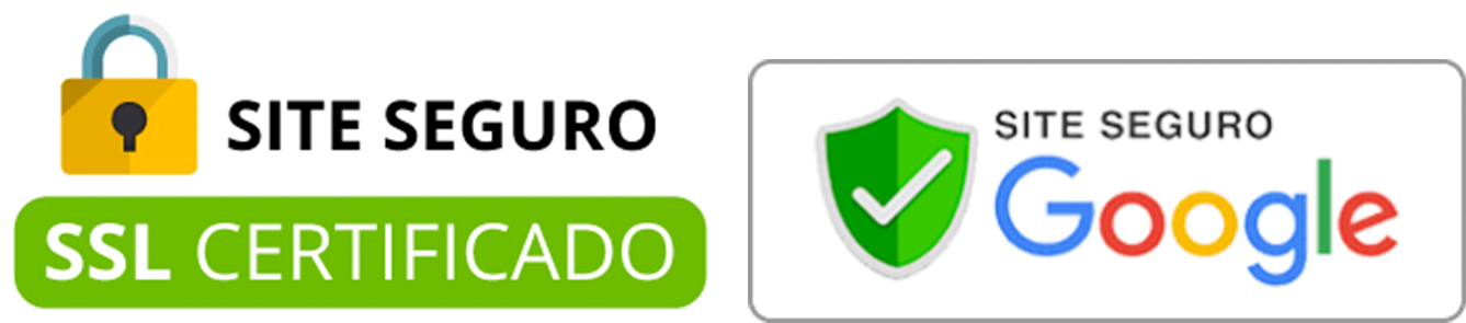 site seguro google e ssl